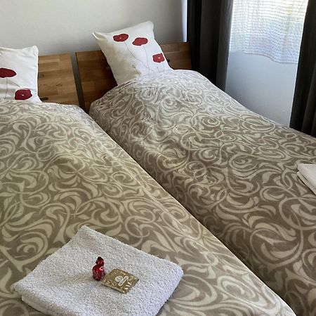 Ferienwohnung Von Der Herzogshoehe ,Wifi, Netflix, Parkplatz, Kamin, Fussbodenheizung, Thermomix, Babybett Chemnitz Exterior foto